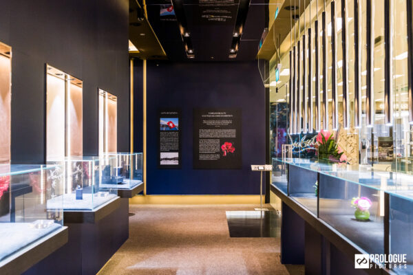 Jeweluxe-House-of-Geneva-Prologue-Pictures-Singapore-Event-Photography-03
