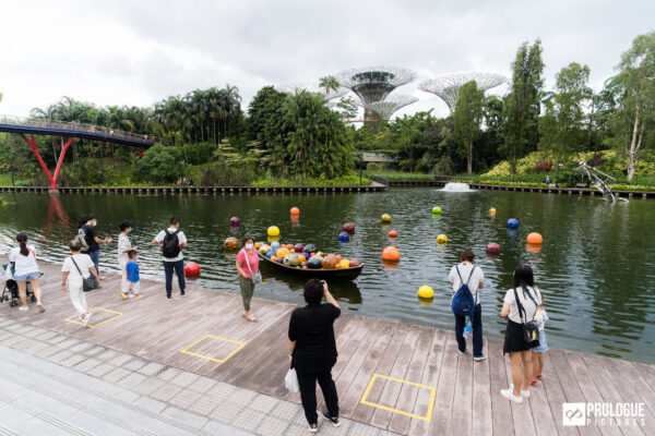 Dale-Chihuly-Glass-In-Bloom-Gardens-By-The-Bay-Singapore-Prologue-Pictures-10