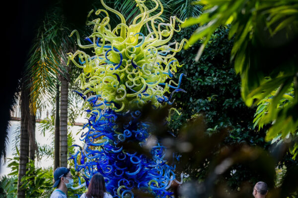 Dale-Chihuly-Glass-In-Bloom-Gardens-By-The-Bay-Singapore-Prologue-Pictures-11