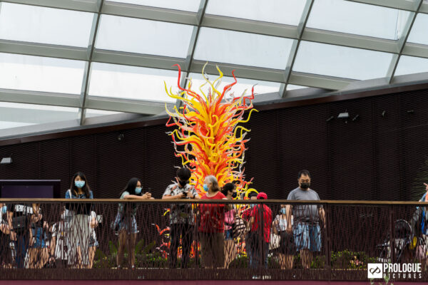Dale-Chihuly-Glass-In-Bloom-Gardens-By-The-Bay-Singapore-Prologue-Pictures-14