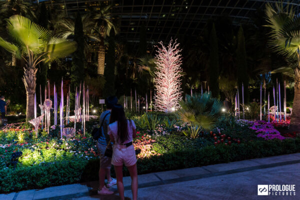 Dale-Chihuly-Glass-In-Bloom-Gardens-By-The-Bay-Singapore-Prologue-Pictures-19