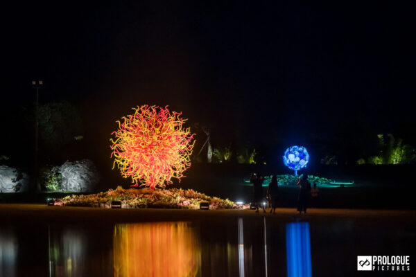 Dale-Chihuly-Glass-In-Bloom-Gardens-By-The-Bay-Singapore-Prologue-Pictures-21